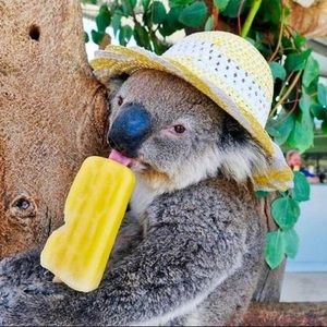 Meet your Posher, Allison